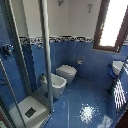 Nilu's House
