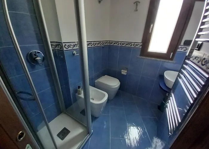 Nilu's House